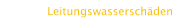 Leitungswasserschäden